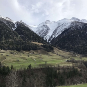 Durch das geöffnete Fenster fotografiert