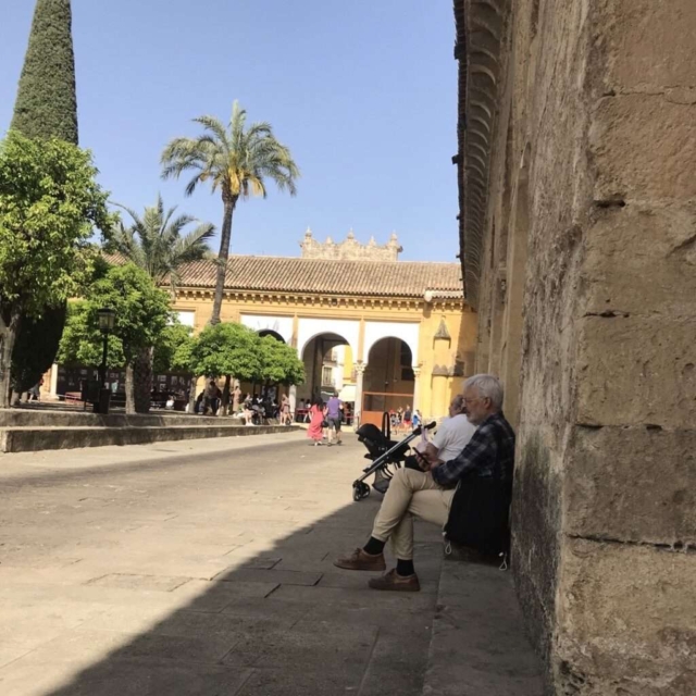 Innenhof mit Orangenbäumen, Palmen und Zypressen